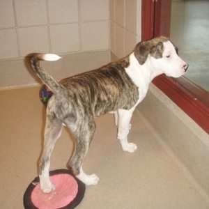 Team Page: Team Zeus